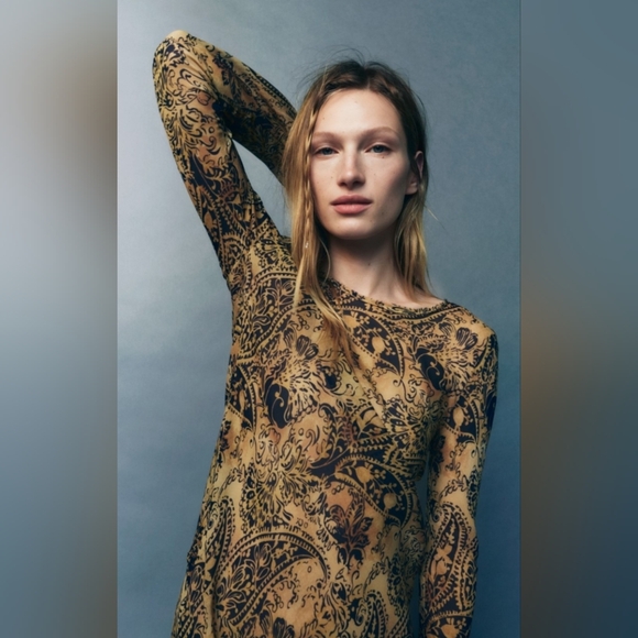 Zara Tan Navy Sheer Fitted Maxi Dress - Picture 2 of 14